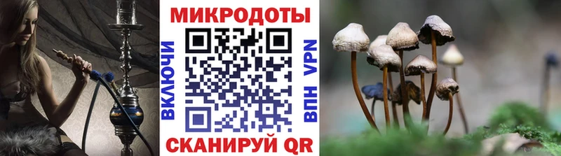 наркошоп Окуловка Псилоцибиновые грибы Cubensis